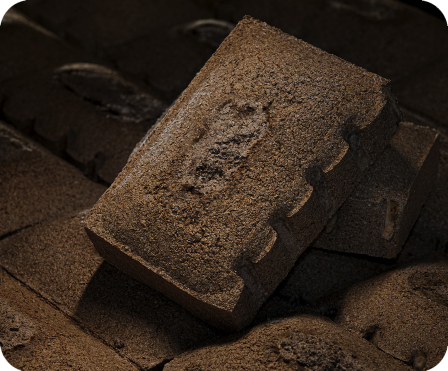 凯发一触即发(中国)官方网站