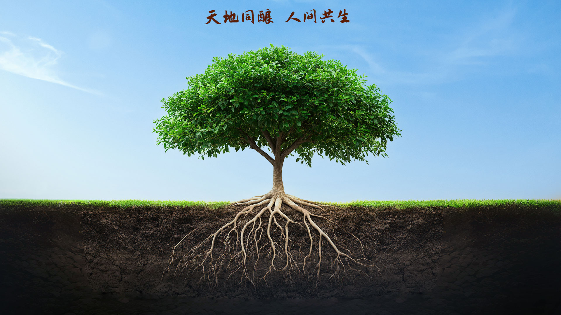 凯发一触即发(中国)官方网站